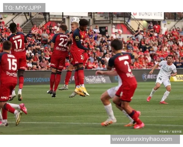 惠灵顿凤凰迎战墨尔本城全力争胜激战即将上演